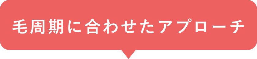 毛周期に合わせたアプローチ